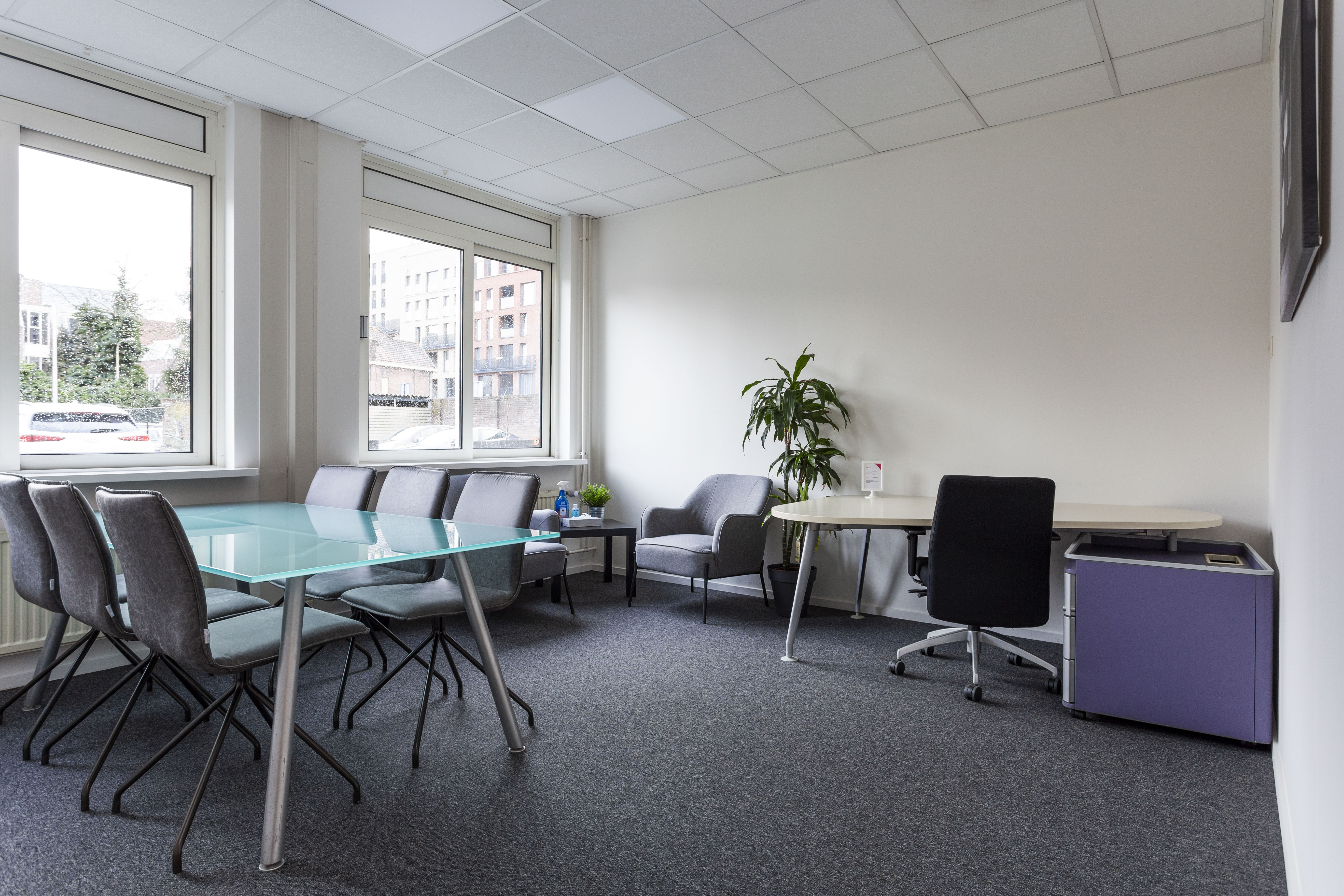 Tilburg_paarsekamer3.jpg