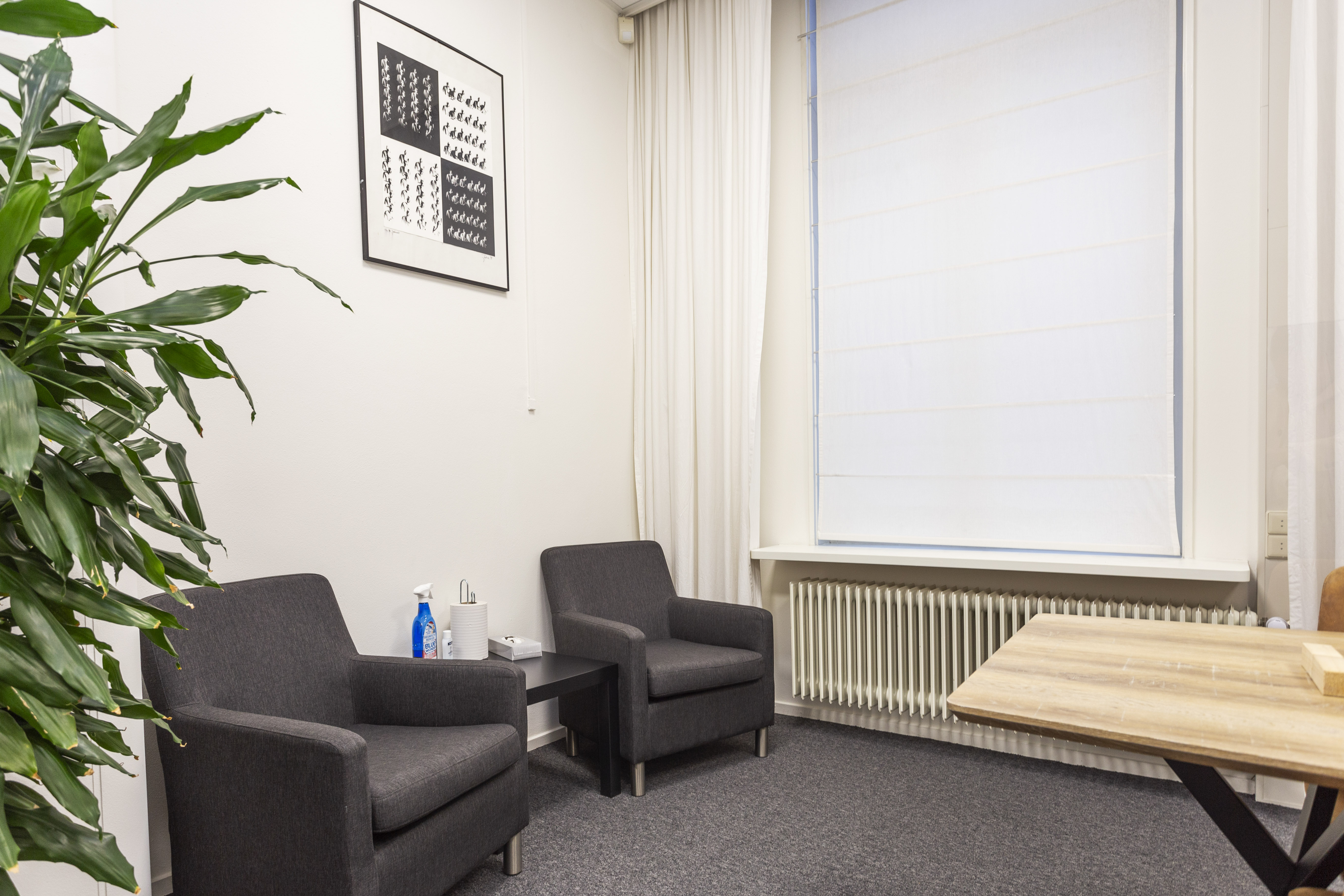 Tilburg_violetkamer3.jpg