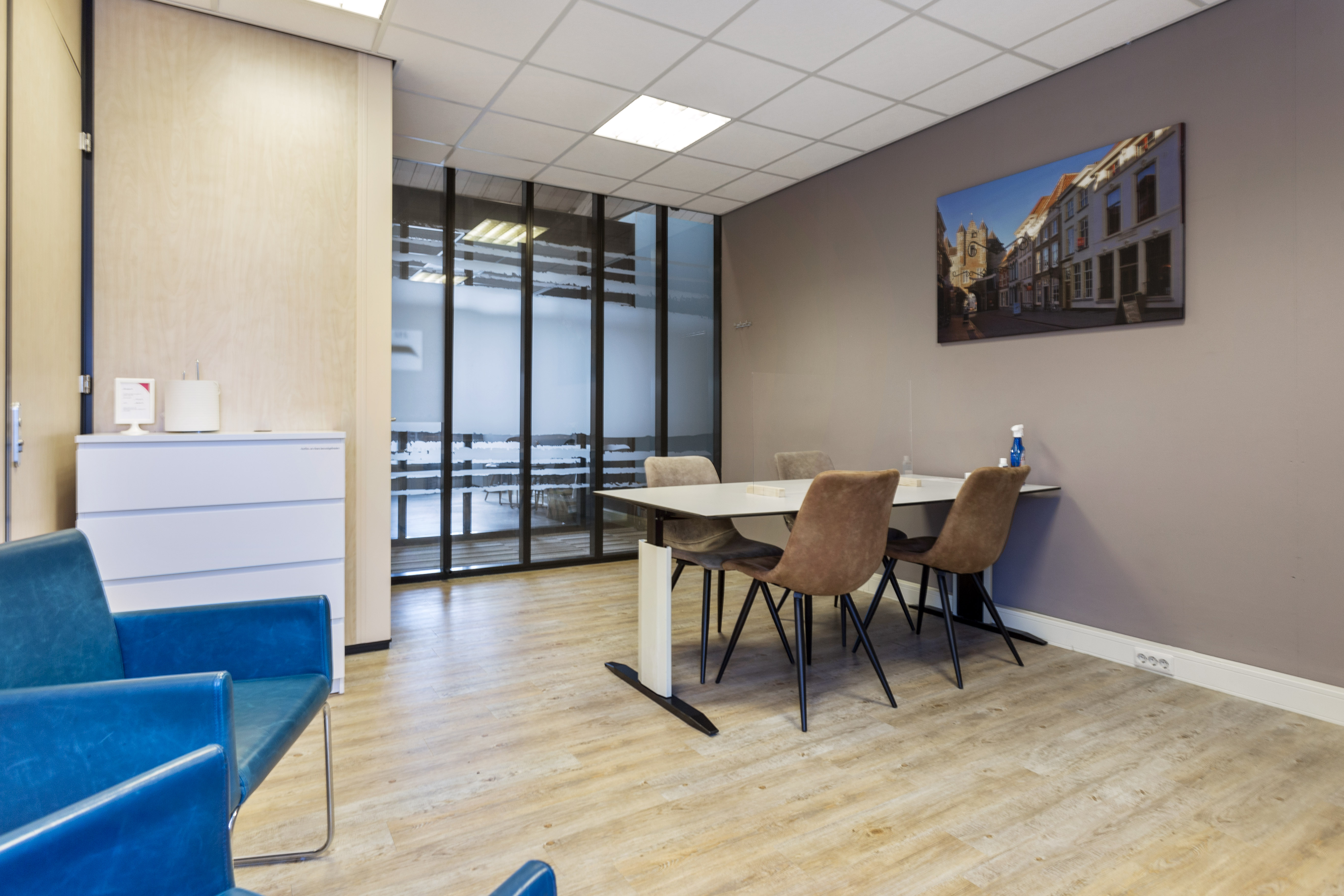 BergenopZoom_blauw4.jpg