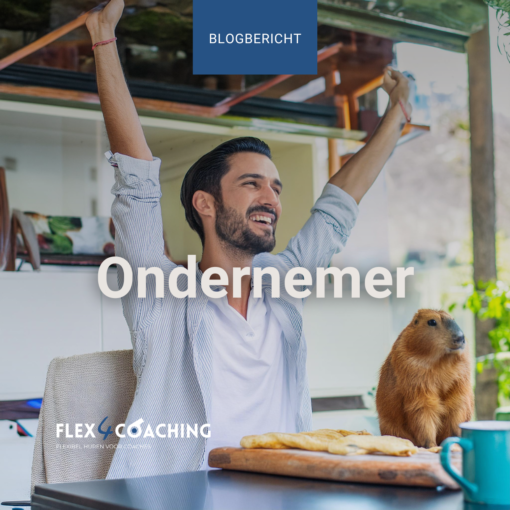 Ondernemen met een omzet onder de 20K - Flex4Coaching